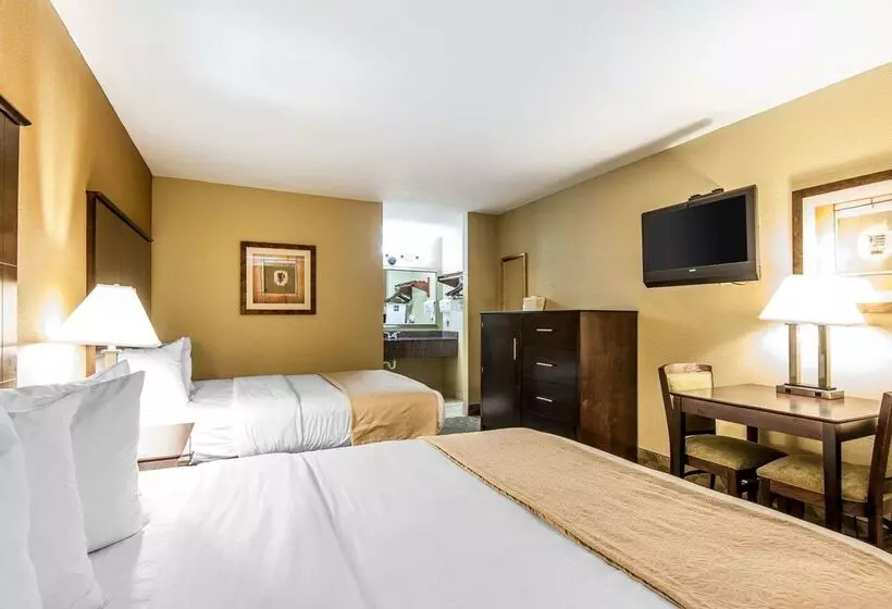 酒店 Quality Inn & Suites