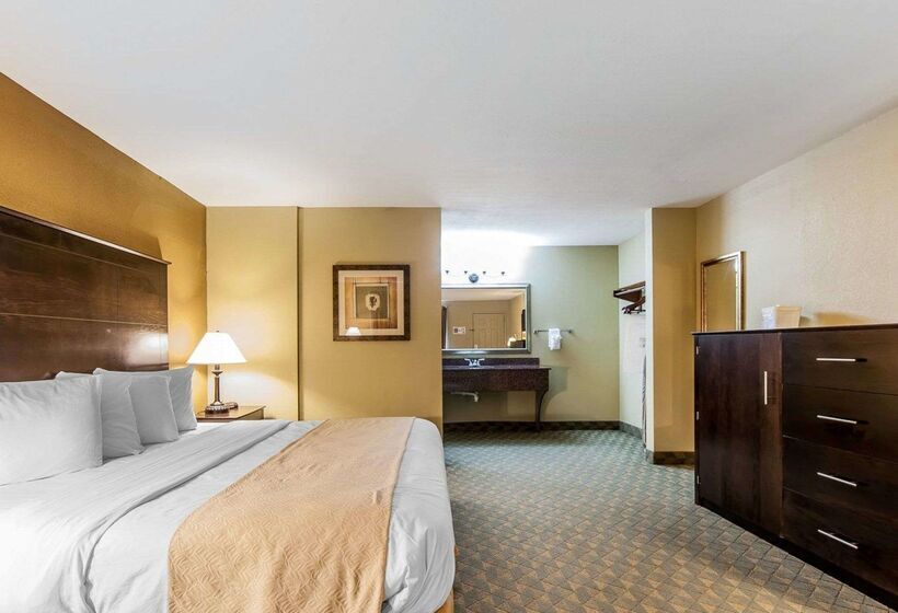 فندق Quality Inn & Suites