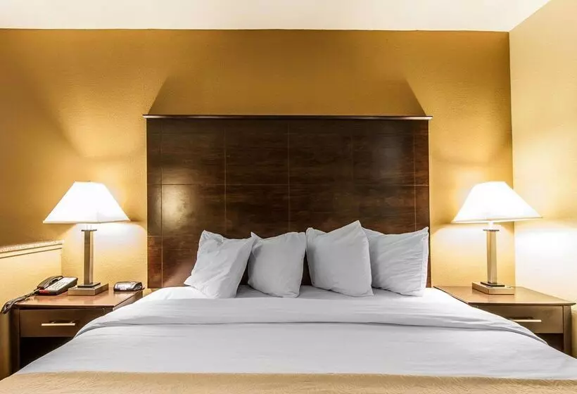 酒店 Quality Inn & Suites