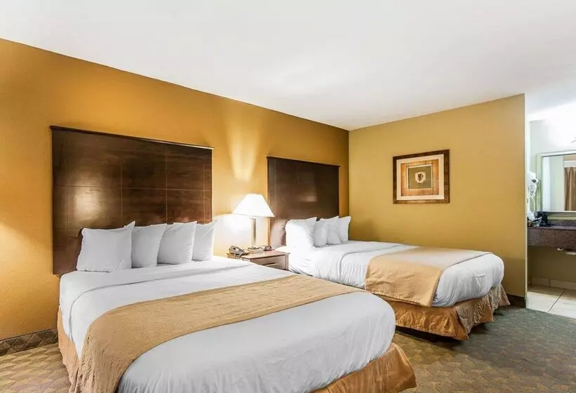 酒店 Quality Inn & Suites