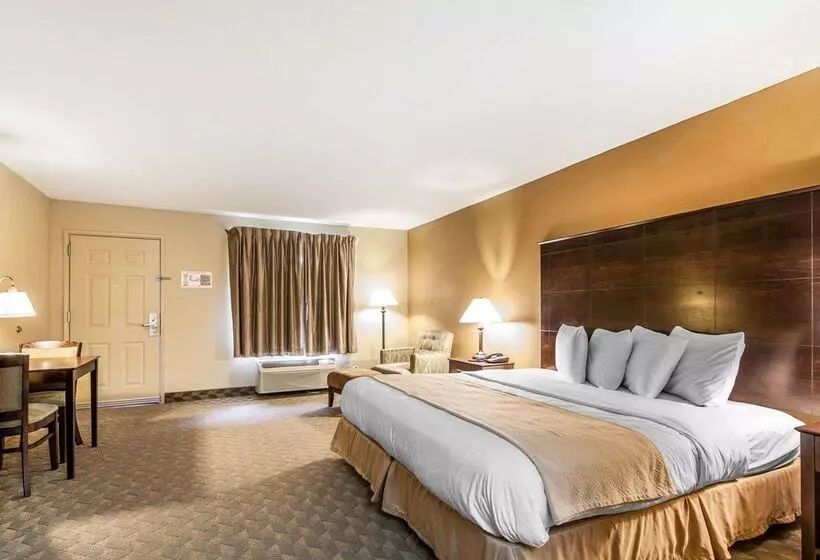 酒店 Quality Inn & Suites