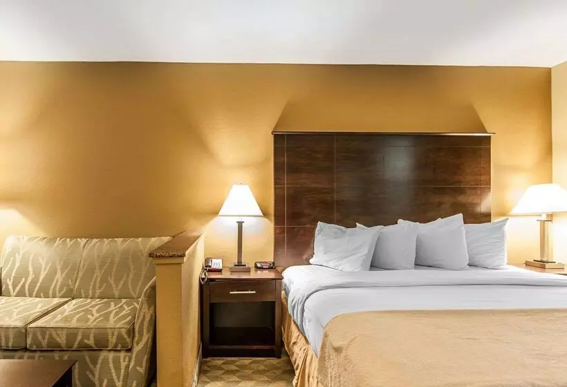 酒店 Quality Inn & Suites