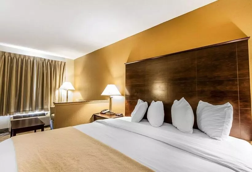 酒店 Quality Inn & Suites
