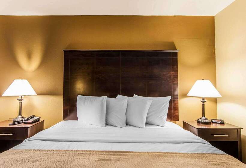فندق Quality Inn & Suites