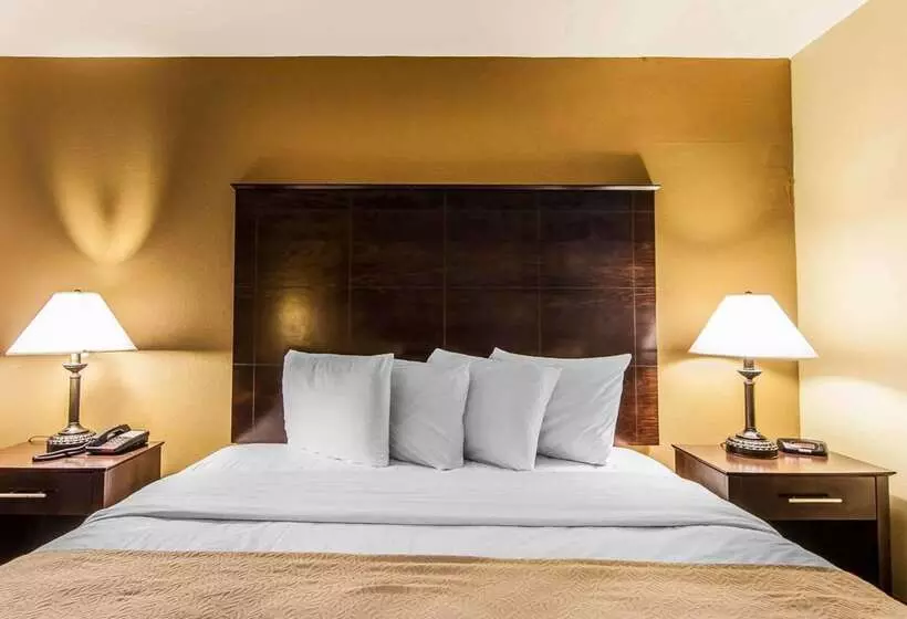 酒店 Quality Inn & Suites