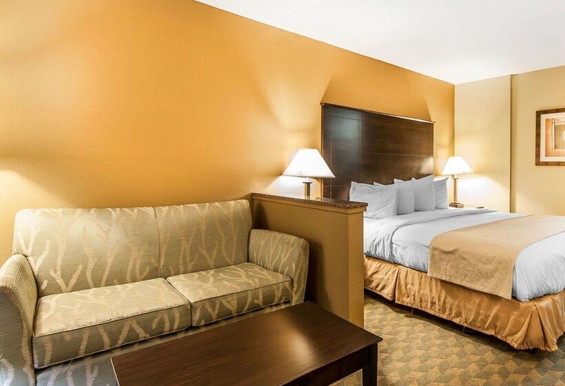 فندق Quality Inn & Suites