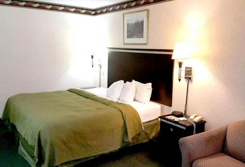 Hotel Red Carpet Inn & Suites