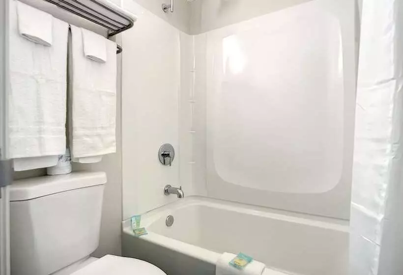 酒店 Stayable St Augustine