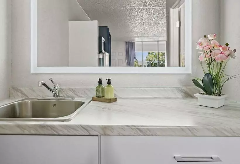 酒店 Stayable St Augustine