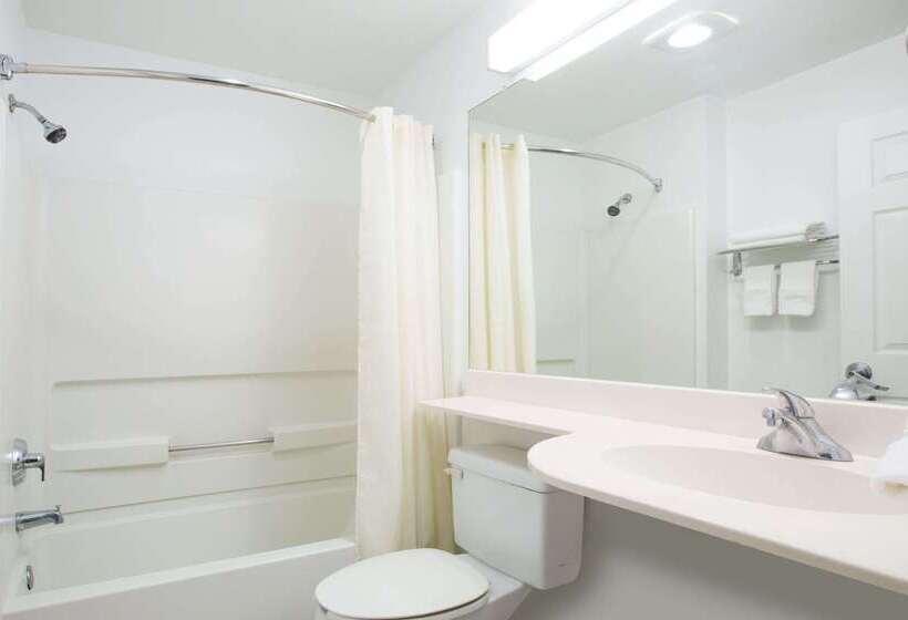 Microtel Inn & Suites By Wyndham Garland/dallas