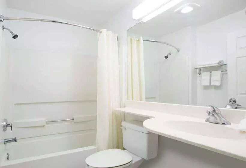 Microtel Inn & Suites By Wyndham Garland/dallas