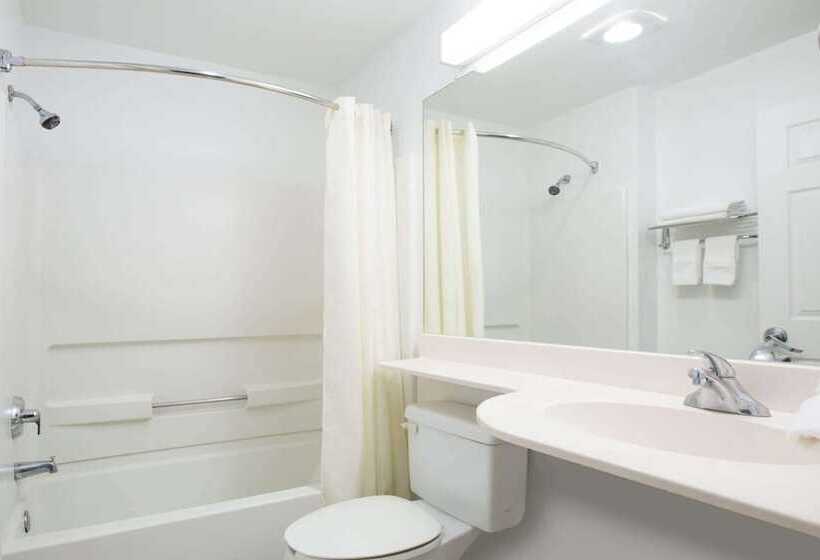 Microtel Inn & Suites By Wyndham Garland/dallas