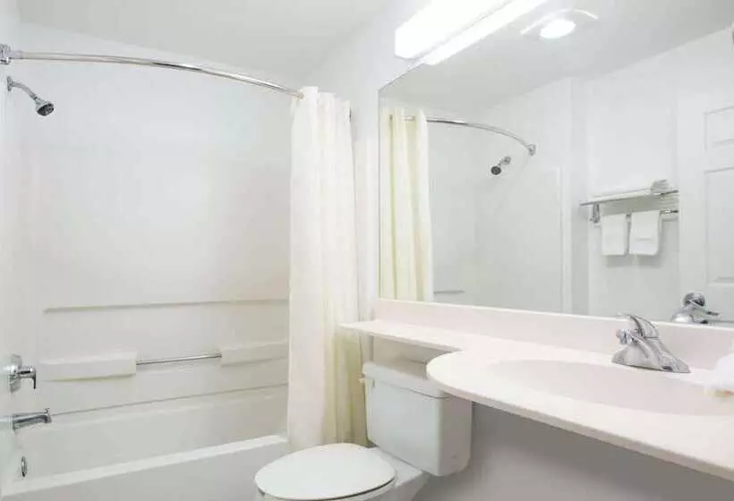 Microtel Inn & Suites By Wyndham Garland/dallas