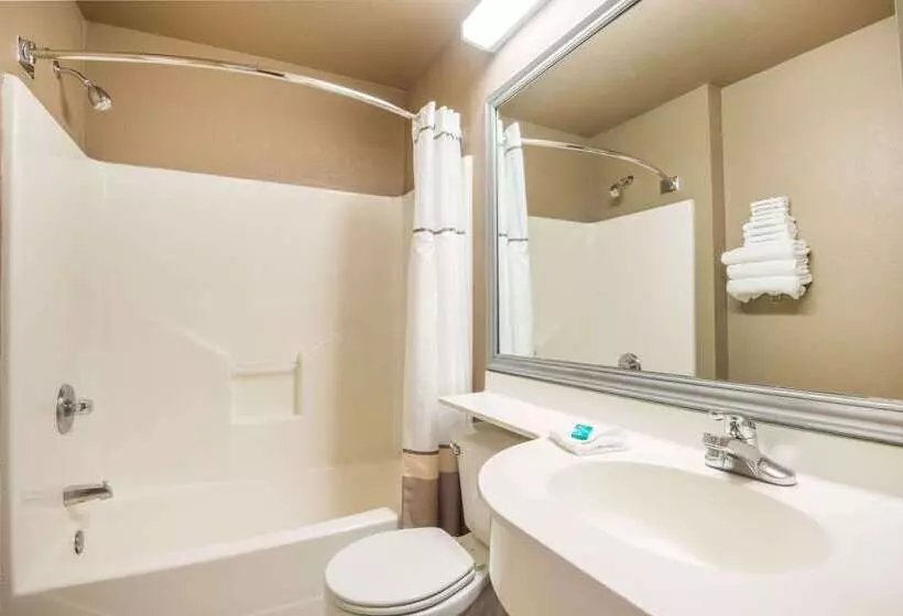 Microtel Inn And Suites By Wyndham Miami Ok