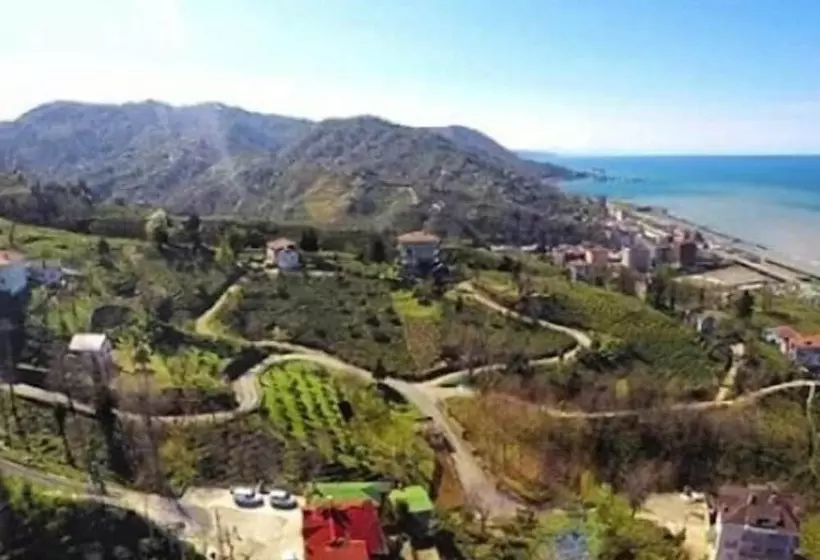 Caca Bungalow & Apart