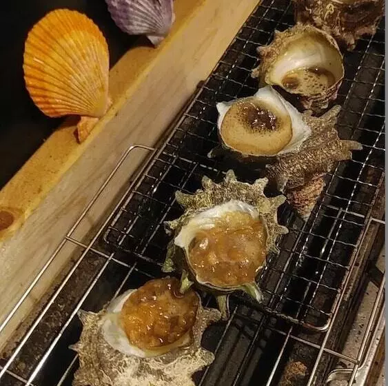 Guest House Darumaya   Hostel