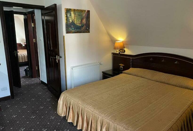 فندق Arca Lui Noe