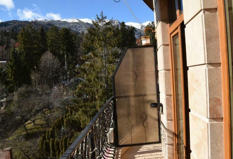 فندق Arca Lui Noe