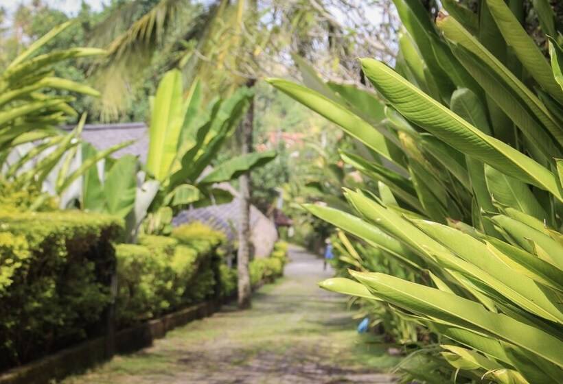 酒店 Balian Surf Villas