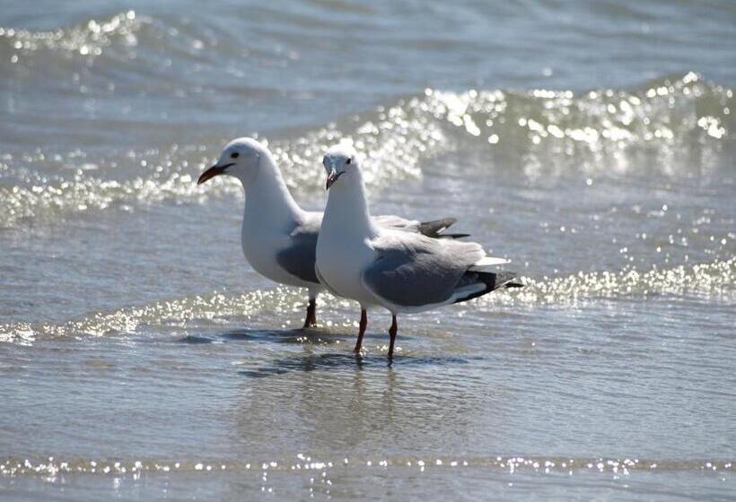 Melkbosstrand Bed And Breakfast