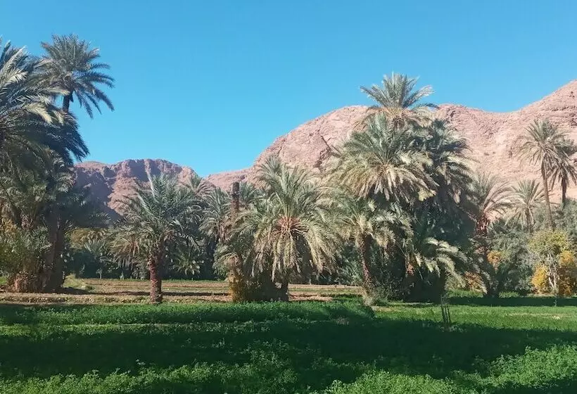 Majatalo Auberge Ali