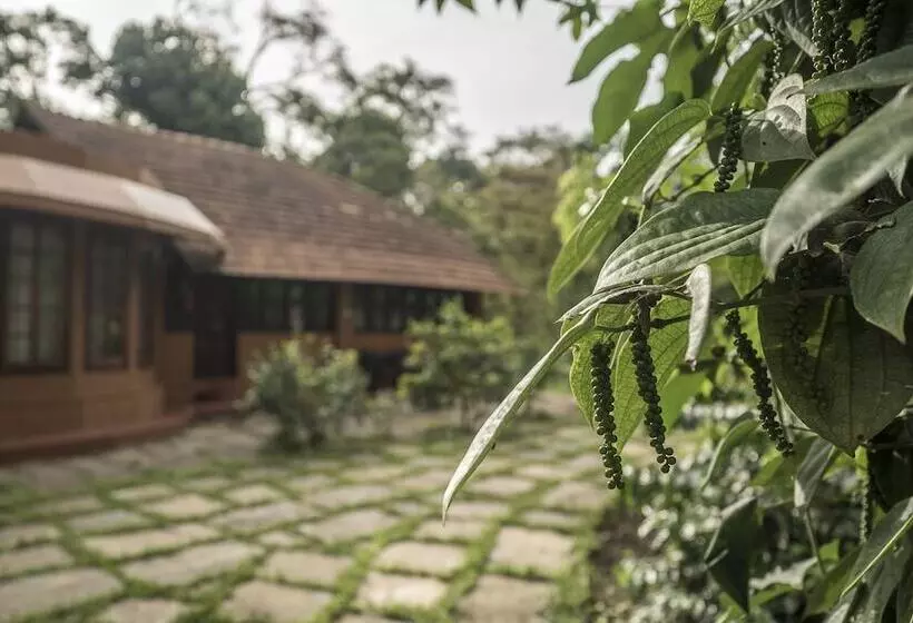 ペンション Brindavan Estate Homestay