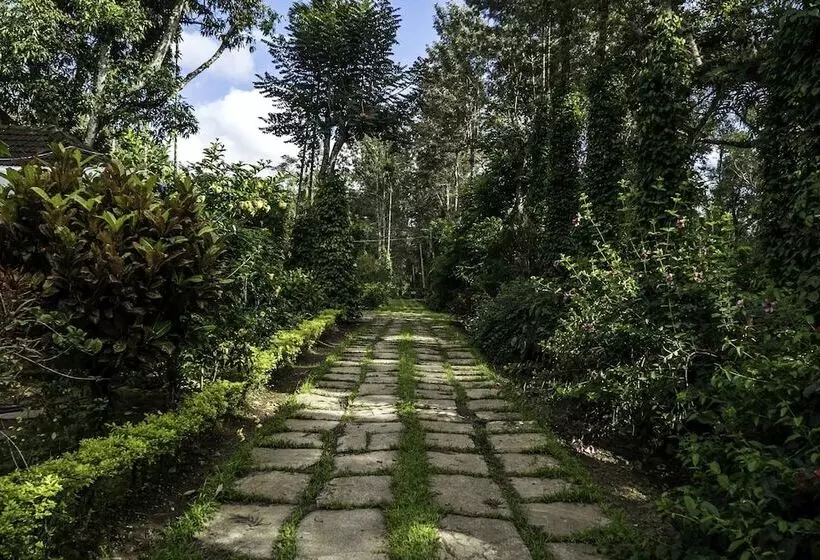 ペンション Brindavan Estate Homestay