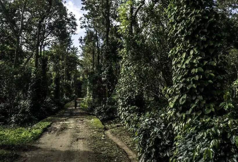 ペンション Brindavan Estate Homestay