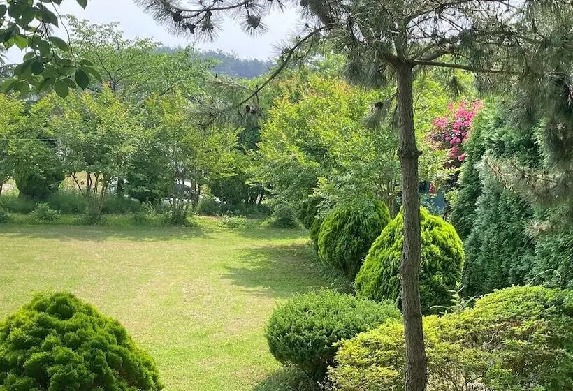 Anmyeondo Tamarind Pension