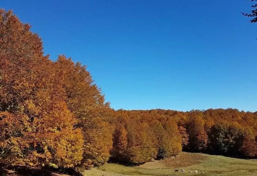 Hostelli Ristorante Albergo Rifugio Montescuro