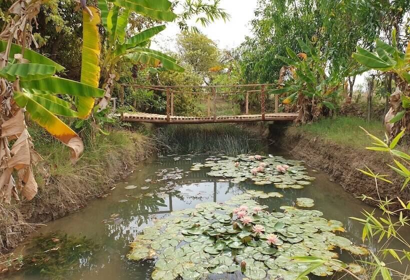 酒店 Mint Bodhivann Jungle Retreat