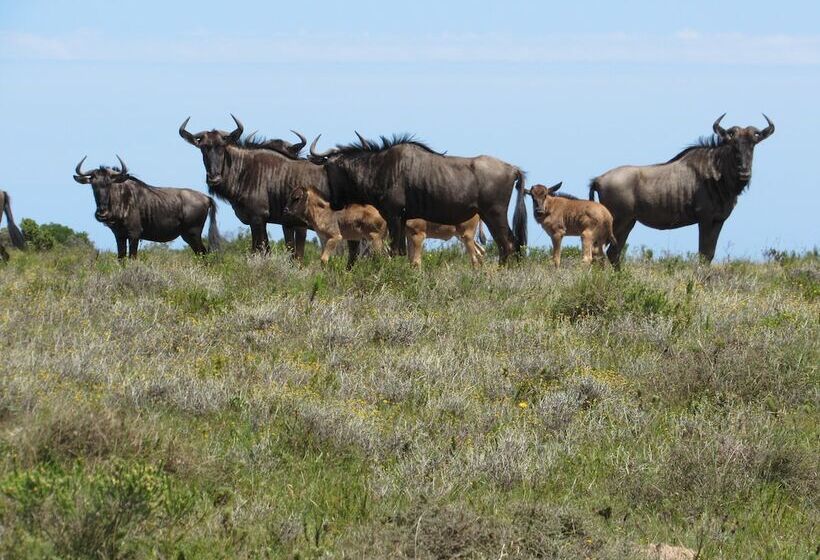 فندق Pomeroy Lodges