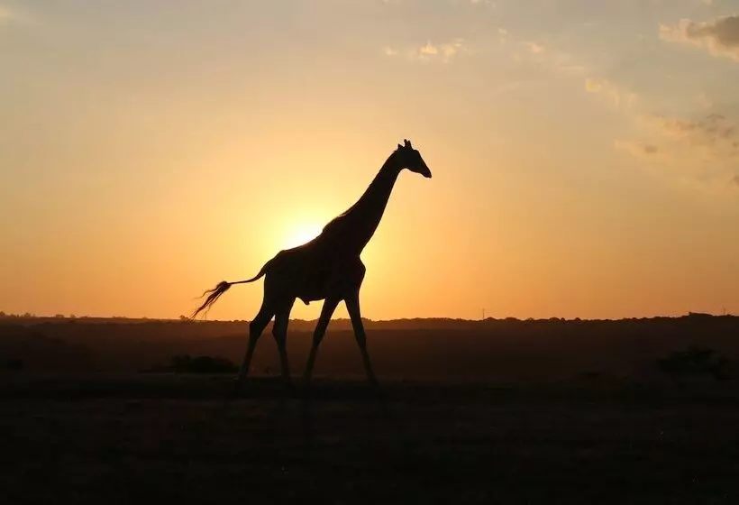 Hotelli Pomeroy Lodges