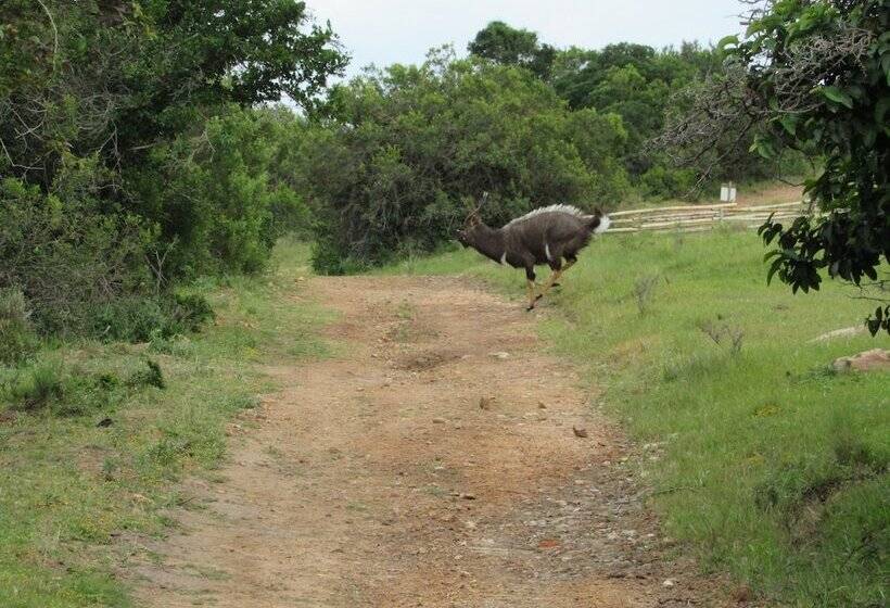 فندق Pomeroy Lodges