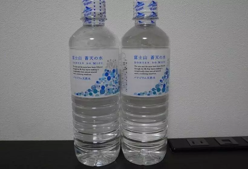 Natural Hot Spring With Sauna Hotel Glan Y S Koshigaya