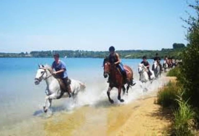بنسيون Maison D Hôtes Labastide