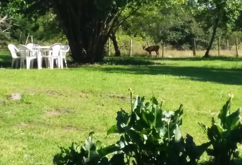 Majatalo Maison D Hôtes Labastide