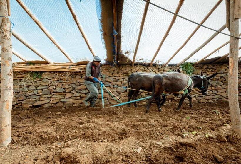 Pension (Hôtel basse catégorie) Touda Ecolodge Atlas Mountains