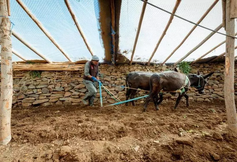 Majatalo Touda Ecolodge Atlas Mountains
