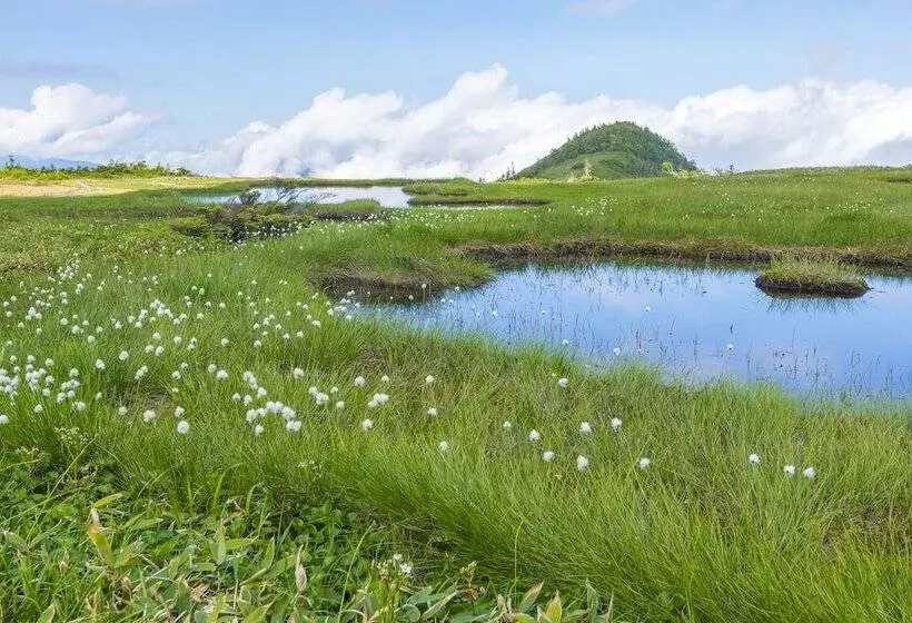 旅館 Yusenkaku