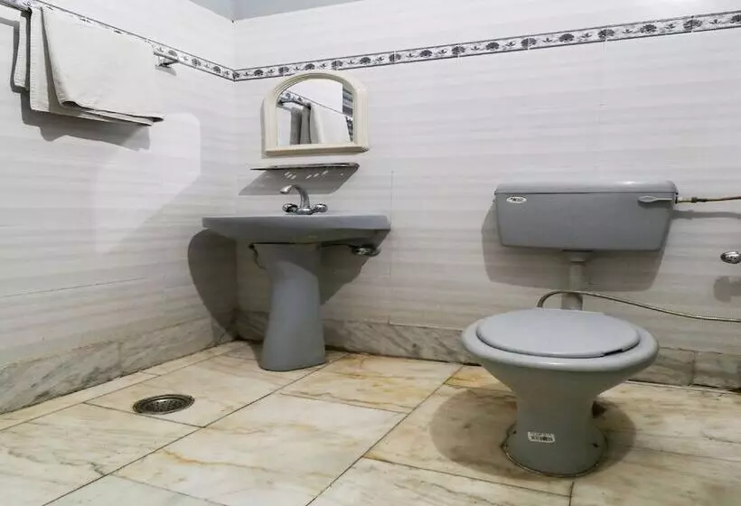 Spot On 46852 Hotel Pal Regency