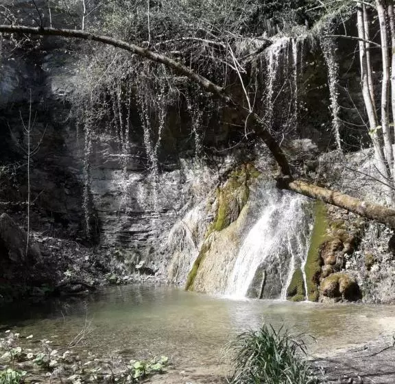 Aamiaismajoitus (B&B) Il Pavone Errante