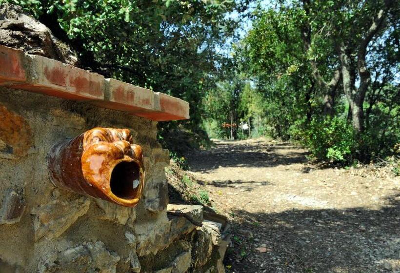 Le Mas Des Colombes Chambres D Hôtes B&b & Spa