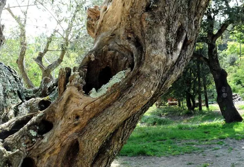 Le Mas Des Colombes Chambres D Hôtes B&b & Spa