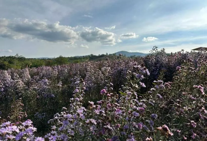 Hotelli Damnoen Care Resort