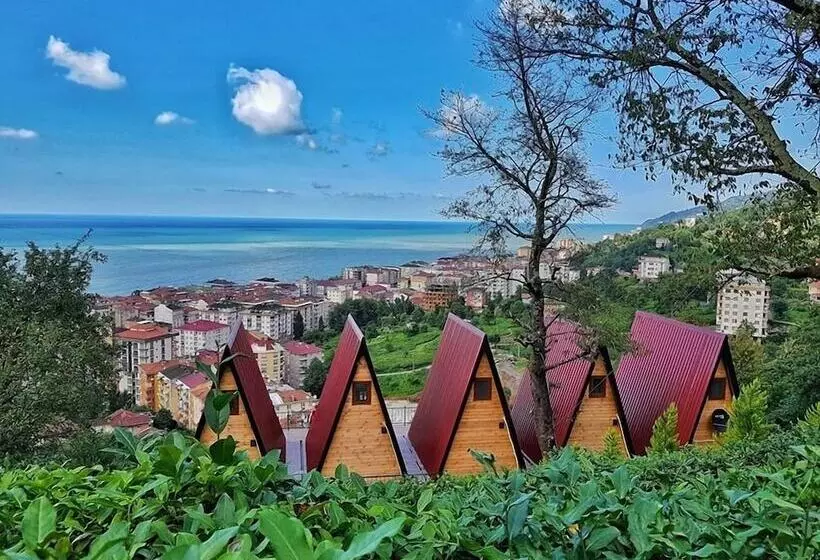 پانسیون Loya Butik Otel   Bungalow