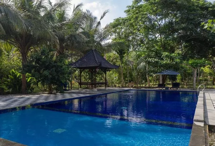 Majatalo Ring Sameton Resort
