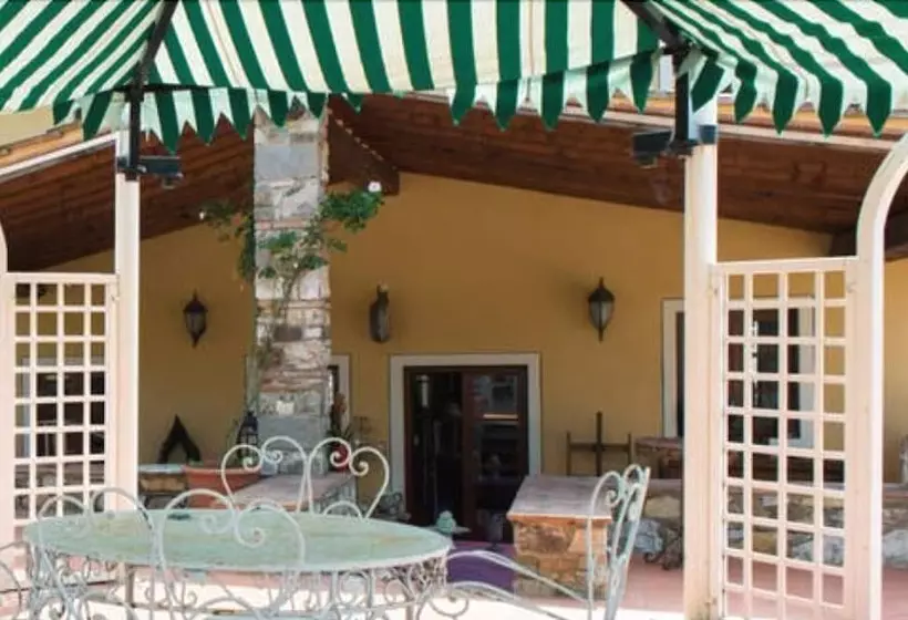 B&b Elisir