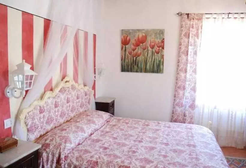 B&b Elisir