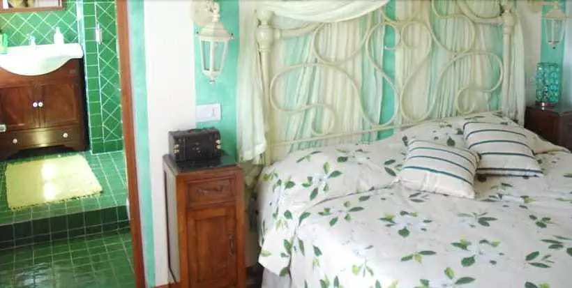B&b Elisir